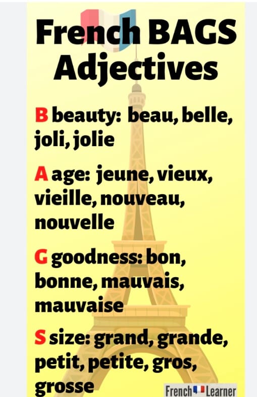 1 étudiant, 1 question: Quelle est la place des adjectifs en français ?